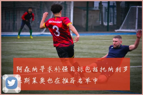 阿森纳寻求补强目标包括托纳利罗杰斯莱奥也在推荐名单中