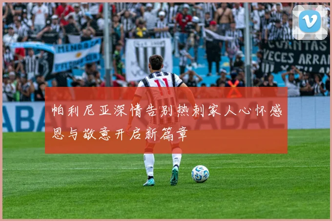 帕利尼亚深情告别热刺家人心怀感恩与敬意开启新篇章