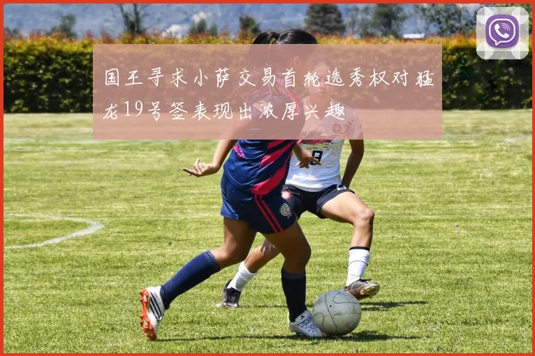 国王寻求小萨交易首轮选秀权对猛龙19号签表现出浓厚兴趣