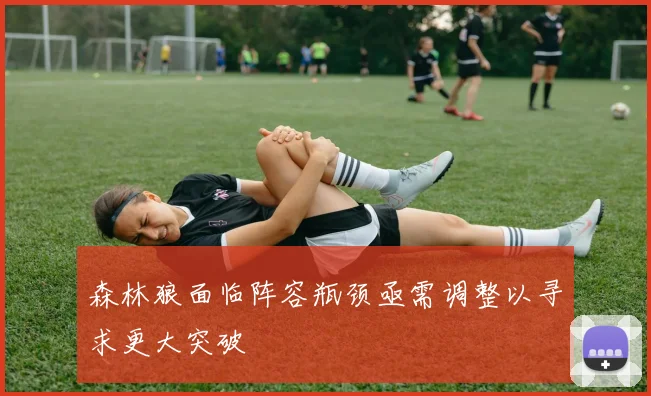 森林狼面临阵容瓶颈亟需调整以寻求更大突破